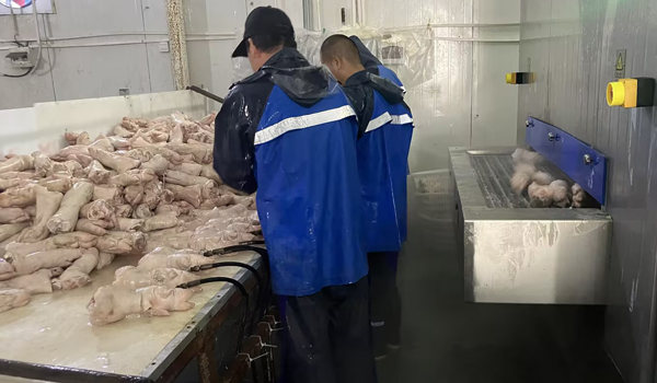素给我897.jpg