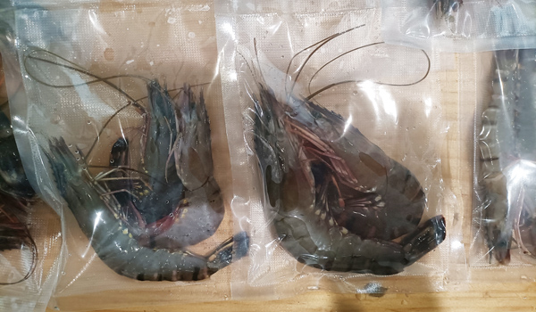 素给我970.jpg