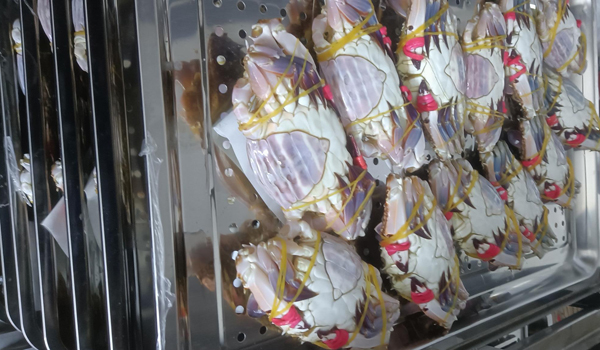 1761808827771210.jpg 新前台643.jpg