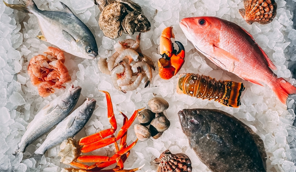 1762416872592400.jpg 新前台651.jpg