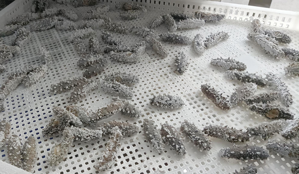 1769154859714093.jpg 新前台725.jpg