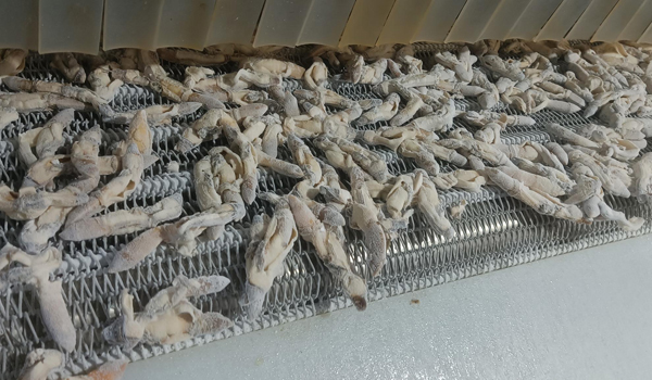 1769154911439170.jpg 新前台726.jpg