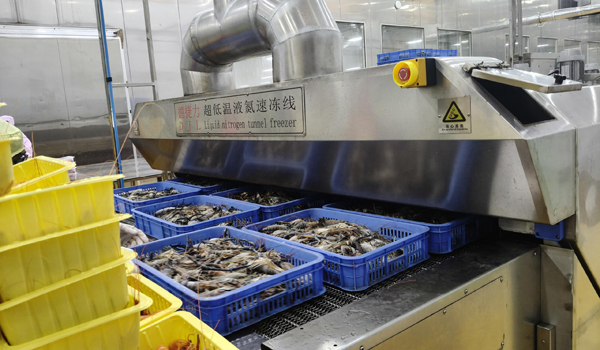 1772616602521690.jpg 新前台743.jpg