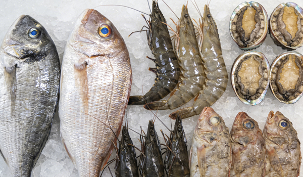 1774945199577454.jpg 新前台767.jpg