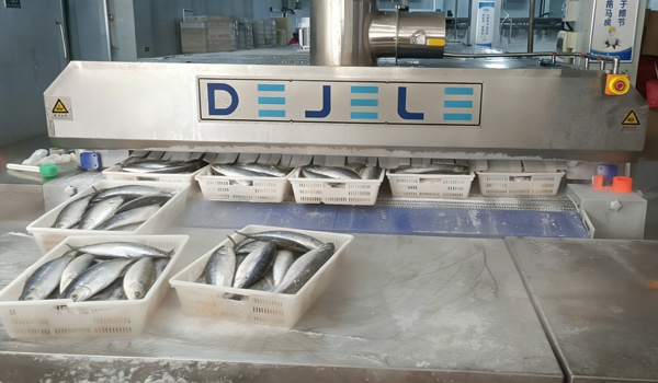 1774945209156442.jpg 新前台768.jpg