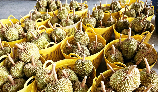 1776156135576434.jpg 新前台778.jpg